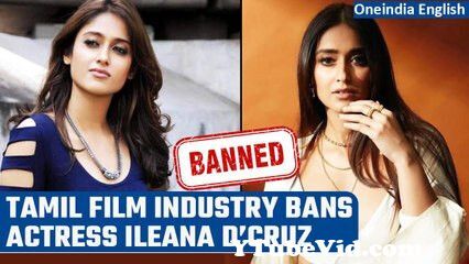 View Full Screen: actress ileana d39cruz gets banned from signing tamil films know the reason 124 oneindia news.jpg