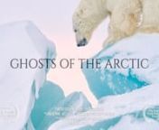 Ghosts of the Arctic was the type of passion project that dreams are made of. Our goal was to venture out into the beautiful frozen expanse of Svalbard, in winter, to search and document polar bears. nnGreat write up with loads of info at: http://nofilmschool.com/2017/08/ghosts-arctic-4k-cold-weather-film-shootnnDuring the shoot we experienced temperatures that were never warmer than -20ºC and frequently plummeted down as low as -30ºC + wind chill factor. nnMany days we drove over two hundred