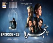 Pinjra Episode 25 &#124; Sunita Marshal &#124; Hadiqa Kiani &#124; 16th March 2023 &#124;ARY Digital Drama&#60;br/&#62;&#60;br/&#62;To Watch all the episode of Pinjra : https://bit.ly/3gmgSSs&#60;br/&#62;&#60;br/&#62;Subscribe: https://bit.ly/2PiWK68&#60;br/&#62;&#60;br/&#62;DownloadARY ZAP :https://l.ead.me/bb9zI1&#60;br/&#62;&#60;br/&#62;Pinjra is an exceptional drama with a story that discusses the idea of sibling rivalry and mistrust between the parents and their children.&#60;br/&#62;It’s important to communicate with your child…&#60;br/&#62;To talk to your child…&#60;br/&#62;And to understand your child…&#60;br/&#62;&#60;br/&#62;Writer: Asma Nabeel&#60;br/&#62;Director: Najaf Bilgrami&#60;br/&#62;&#60;br/&#62;Cast:&#60;br/&#62;Hadiqa Kiani,&#60;br/&#62;Omair Rana,&#60;br/&#62;Sunita Marshall,&#60;br/&#62;Aashir Wajahat,&#60;br/&#62;Aina Asif,&#60;br/&#62;Ahmed Usman,&#60;br/&#62;Zuhab Khan ,&#60;br/&#62;Emaan khan.&#60;br/&#62;&#60;br/&#62;Watch Pinjra Every Thursday at 08:00 PM only on ARY Digital&#60;br/&#62;&#60;br/&#62;#Pinjra #سمجھیں_اپنےبچوں_کو #arydigital &#60;br/&#62;&#60;br/&#62;#hadiqaKiani #omairrana#sunitamarshall#aashirwajahat #ainaasif#ahmedusman &#60;br/&#62;&#60;br/&#62;The most watched and loved Pakistani Entertainment channel is now on SoundCloud! Follow us here and listen to your favorite OSTs now! ♫ https://m.soundcloud.com/arydigitalhd&#60;br/&#62;&#60;br/&#62;Pakistani Drama Industry&#39;s biggest Platform, ARY Digital, is the Hub of exceptional and uninterrupted entertainment. You can watch quality dramas with relatable stories, Original Sound Tracks, Telefilms, and a lot more impressive content in HD. Subscribe to the YouTube channel of ARY Digital to be entertained by the content you always wanted to watch.