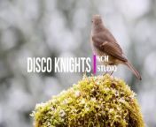 Disco Knights - Quincas Moreira: RnB and Soul Music &#124; Funky Music@NCMaterials&#60;br/&#62;#funkymusic &#60;br/&#62;#nocopyrightmusic &#60;br/&#62;#rnbmusic &#60;br/&#62; &#60;br/&#62;NCM studio published audio - music high quality FREE and SAFE that can be used for vlogging, live steaming background, video making which don&#39;t bear a copyright violation inyour personal user-generated content on various media platform like YouTube. Hear the difference! Top royalty free music freshly composed by independent artists.&#60;br/&#62;&#60;br/&#62;➡ No Copyright Materials ⬅ &#60;br/&#62;Royalty Free Music&#60;br/&#62;&#60;br/&#62;OUR COMMITMENT IS TO DELIVER &#92;