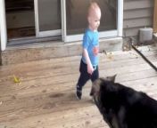 The baby boy featured in this hilarious video is a young man of many talents, but unfortunately, applying brakes at the right time isn&#39;t one of those! &#60;br/&#62;&#60;br/&#62;Watch as the aforementioned youngling decides to brush up on his newly-learned walking skills. He takes a tour of the deck by the front door. &#60;br/&#62;&#60;br/&#62;While he does an impressive job of maintaining his balance all the way through, he forgets that &#39;stopping&#39; is just as important as moving, and this mistake of his causes a muddy mishap. &#60;br/&#62;&#60;br/&#62;&#92;
